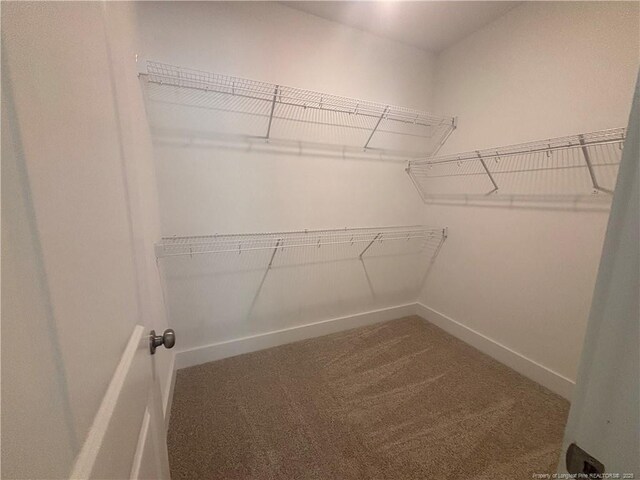 505 Chason Rd, Lumber Bridge, NC 28357 - walk in closet with carpet