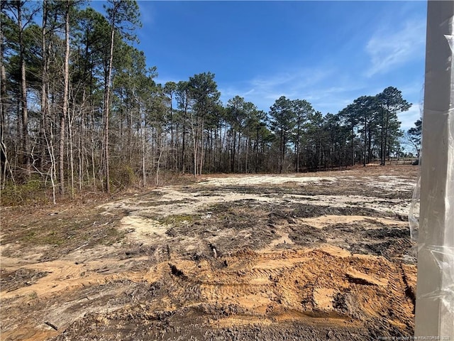 505 Chason Rd, Lumber Bridge, NC 28357 - view of undeveloped land