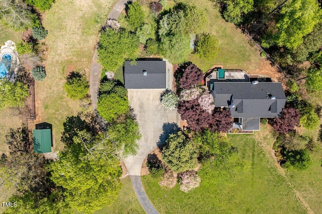 bird's eye view