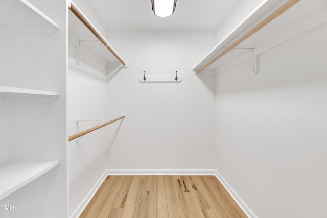 852 Fred Wilder Rd, Franklinton, NC 27525 - spacious closet featuring light wood-style floors