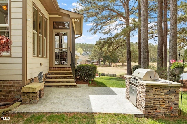 1525 Marshall Farm St, Wake Forest, NC 27587 - view of patio / terrace featuring a grill, entry steps, and area for grilling