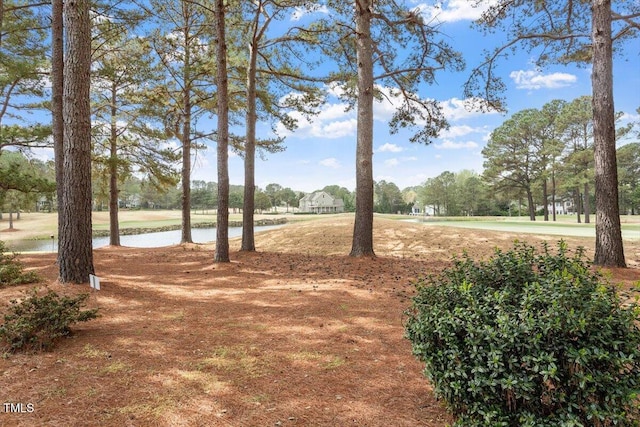 1525 Marshall Farm St, Wake Forest, NC 27587 - view of home's community with a water view