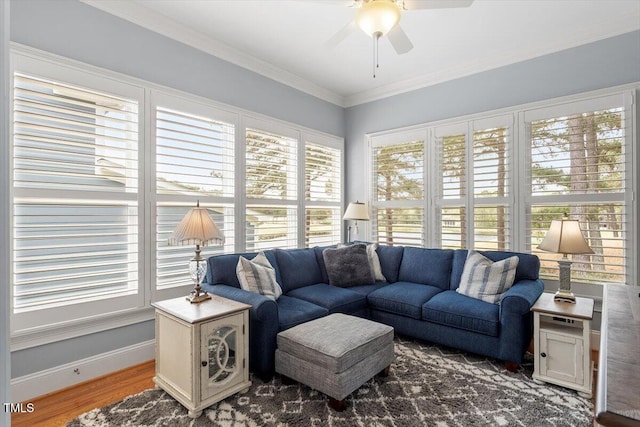 1525 Marshall Farm St, Wake Forest, NC 27587 - view of sunroom