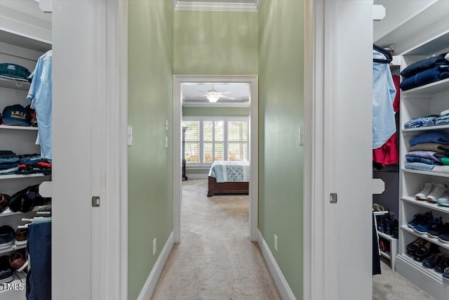 1525 Marshall Farm St, Wake Forest, NC 27587 - spacious closet with carpet flooring and ceiling fan