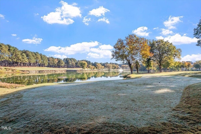 1525 Marshall Farm St, Wake Forest, NC 27587 - view of water feature