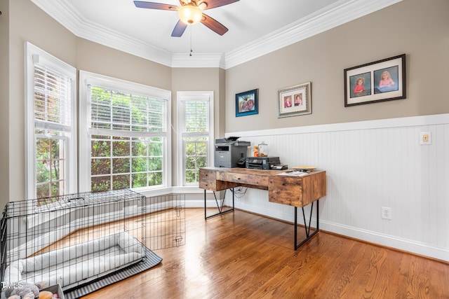 3821 Falls River Ave, Raleigh, NC 27614 - home office with ceiling fan, ornamental molding, wood finished floors, wainscoting, and baseboards