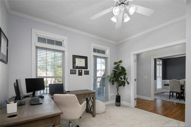 6826 Surrey Rd, Fayetteville, NC 28306 - office featuring a ceiling fan, carpet floors, crown molding, and baseboards