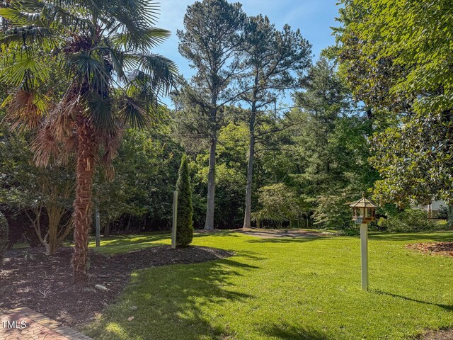 382 Wimbledon Dr, Roxboro, NC 27573 - view of green lawn