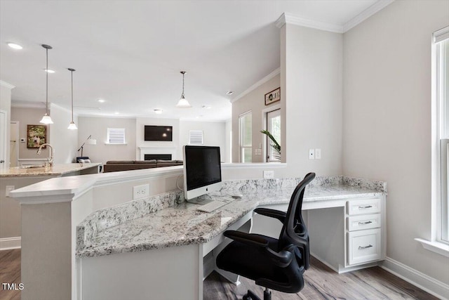 office space featuring crown molding, a wealth of natural light, and wood finished floors