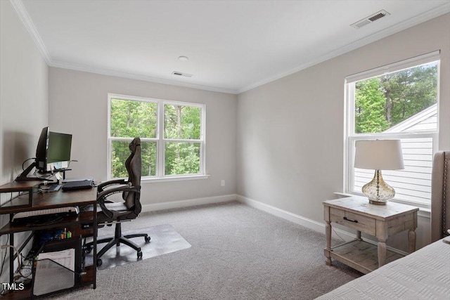 office space with visible vents, carpet floors, and a wealth of natural light