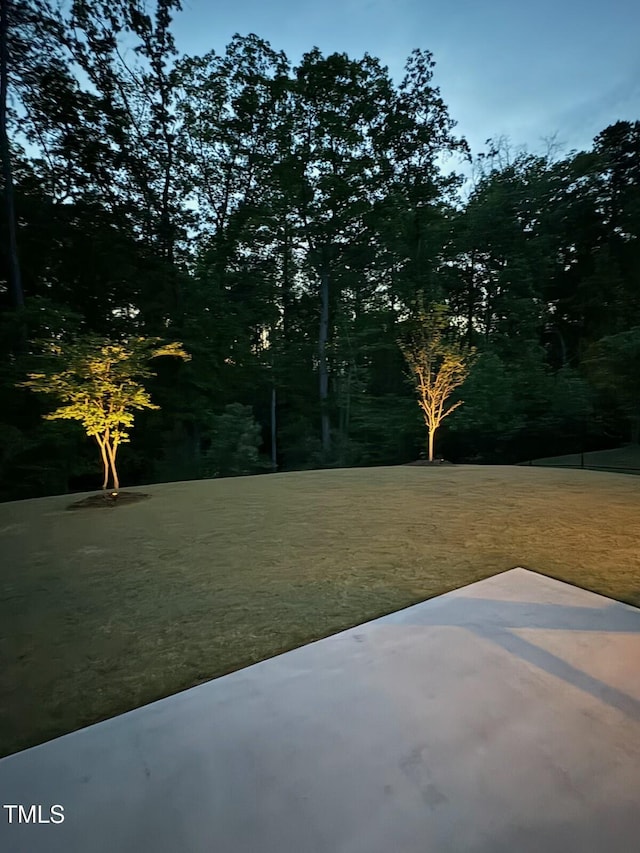view of yard with a patio
