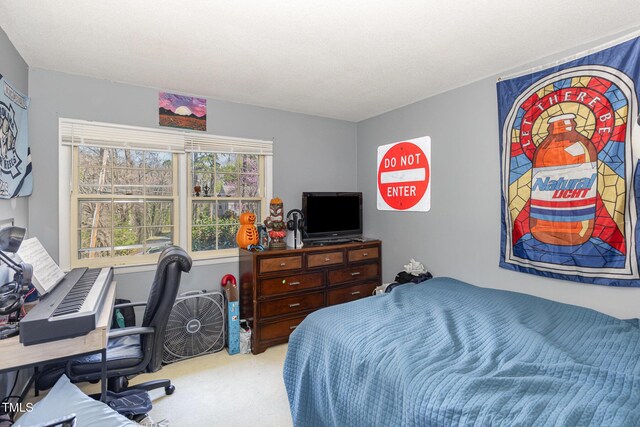 105 Elizabeth St, Chapel Hill, NC 27514 - view of carpeted bedroom
