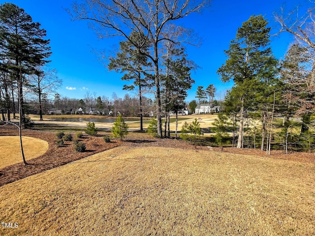 14 Duck Bill Trl, Pittsboro, NC 27312 - view of yard