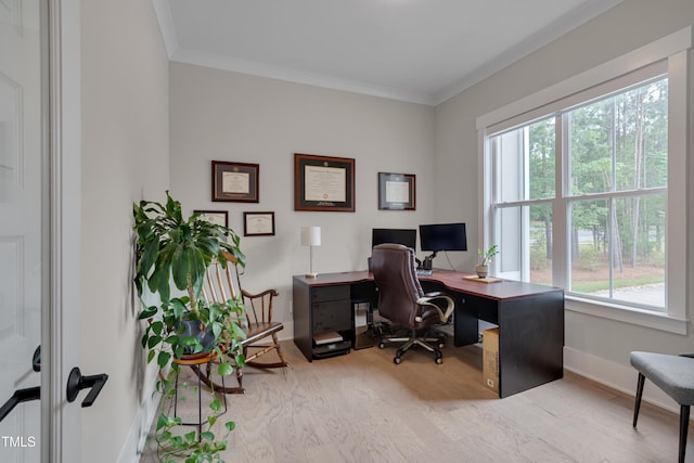14 Duck Bill Trl, Pittsboro, NC 27312 - office space featuring wood finished floors, ornamental molding, and baseboards