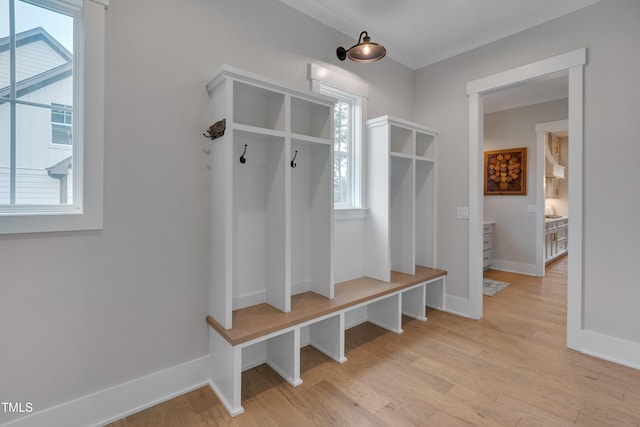 14 Duck Bill Trl, Pittsboro, NC 27312 - mudroom with baseboards, light wood-style floors, and healthy amount of natural light