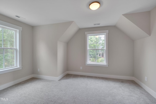 14 Duck Bill Trl, Pittsboro, NC 27312 - additional living space with healthy amount of natural light, carpet floors, vaulted ceiling, and baseboards