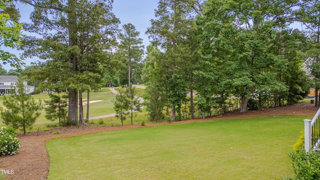 14 Duck Bill Trl, Pittsboro, NC 27312 - view of grassy yard