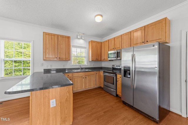1308 Aspen Falls Ct, Willow Springs, NC 27592 - kitchen with wood finished floors, a sink, a peninsula, ornamental molding, and stainless steel appliances