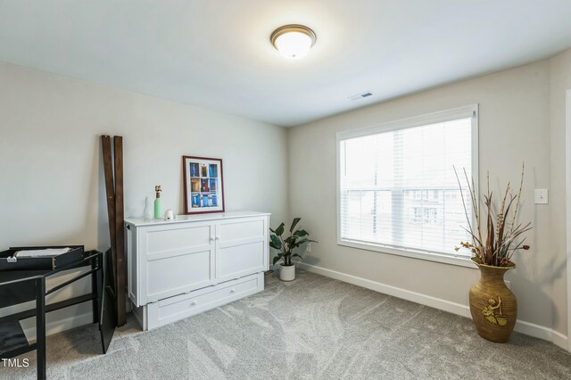 miscellaneous room featuring light carpet, baseboards, and visible vents