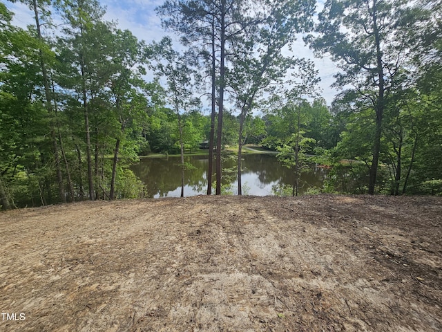water view featuring a forest