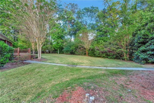 view of yard