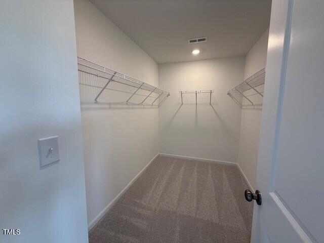 237 Shingle Oak Rd, Wake Forest, NC 27587 - walk in closet featuring carpet flooring
