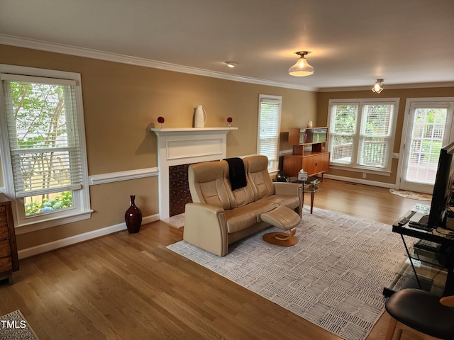 living room featuring plenty of natural light, baseboards, wood finished floors, ornamental molding, and a premium fireplace