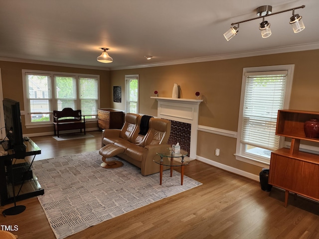 living room featuring wood finished floors, ornamental molding, plenty of natural light, a fireplace, and baseboards