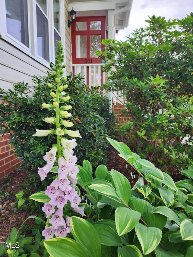 501 Samara St, Apex, NC 27502 - exterior view of brick siding