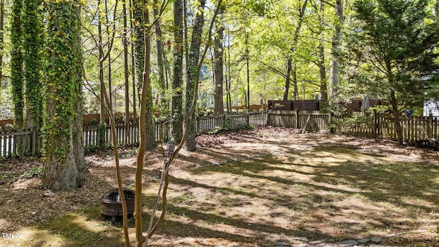 2941 Golden Oak Ct, Raleigh, NC 27603 - view of yard with a fenced backyard