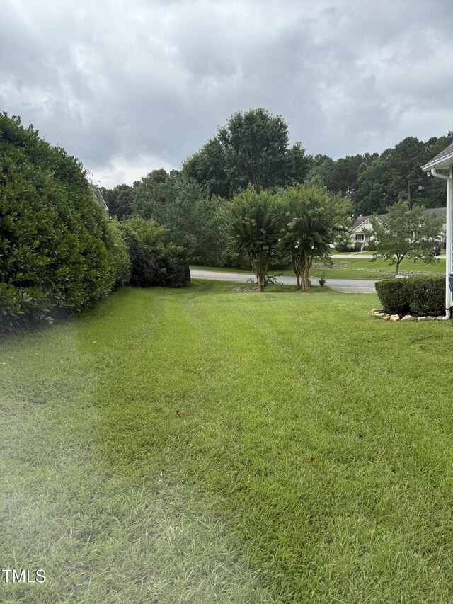 1808 W Cotton Gin Dr, Clayton, NC 27527 - photo 44