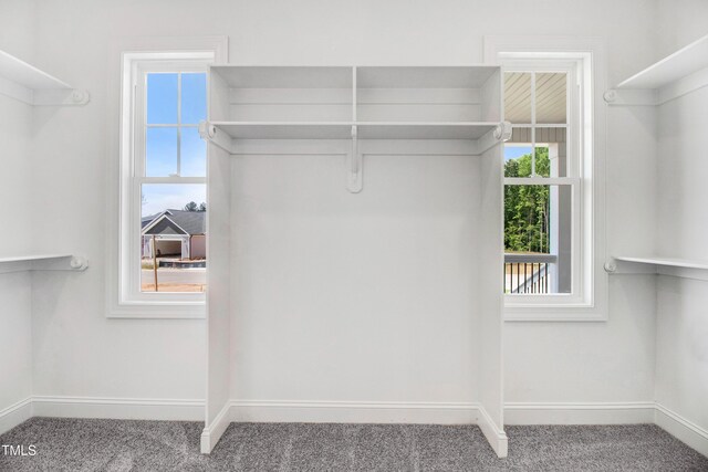 186 Gumtop Dr, Zebulon, NC 27597 - walk in closet featuring carpet floors