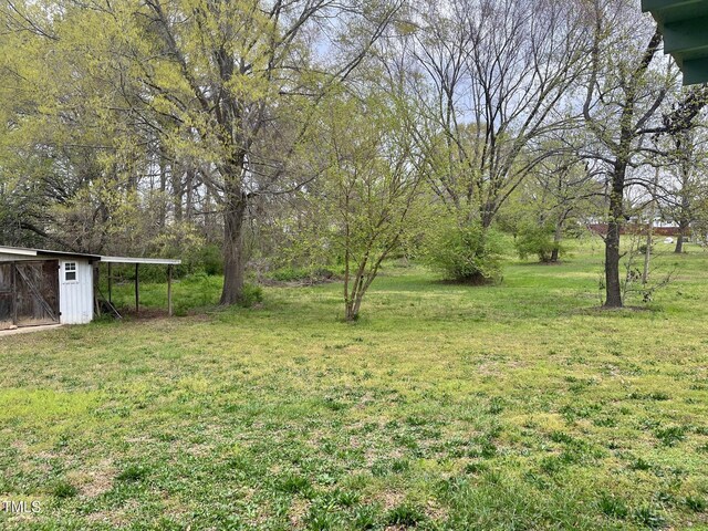 view of yard featuring a carport and an outbuilding