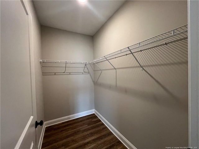 walk in closet featuring dark wood-style floors