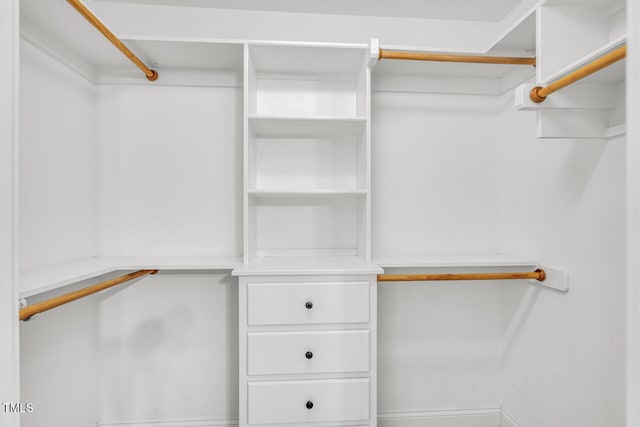 view of walk in closet