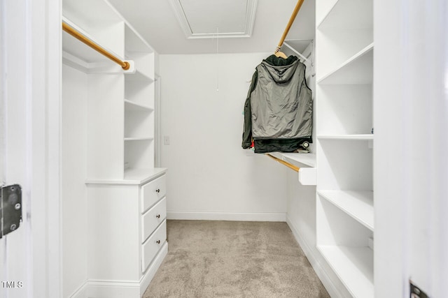 spacious closet with attic access and light carpet