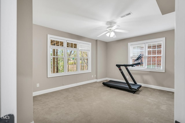 workout area with a wealth of natural light, visible vents, carpet floors, and a ceiling fan