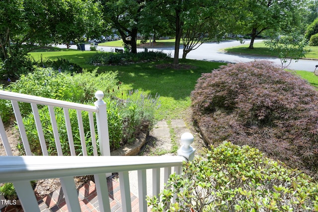 109 Perry Farms Dr, Apex, NC 27502 - view of green lawn