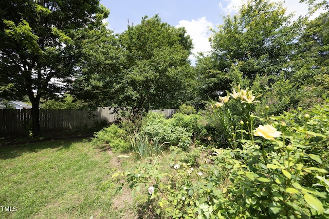 109 Perry Farms Dr, Apex, NC 27502 - view of yard