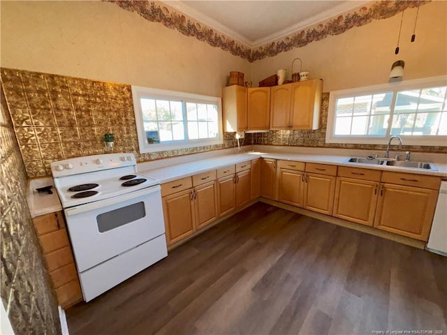 kitchen with backsplash, a sink, dark wood-style floors, electric range, and ornamental molding