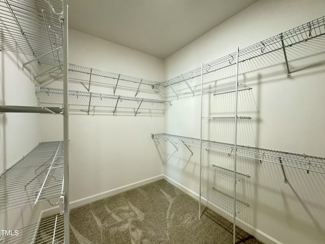 1572 Patterson Rd, Kinston, NC 28504 - spacious closet featuring carpet floors