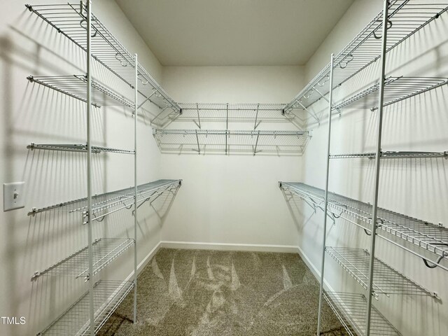 1572 Patterson Rd, Kinston, NC 28504 - spacious closet featuring carpet flooring