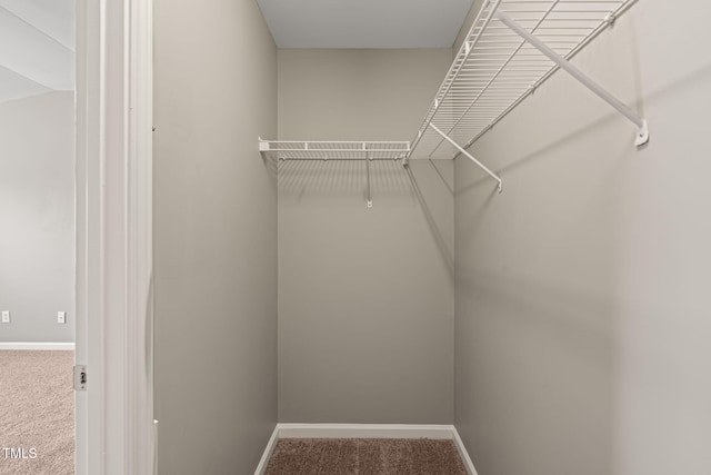 walk in closet featuring carpet flooring