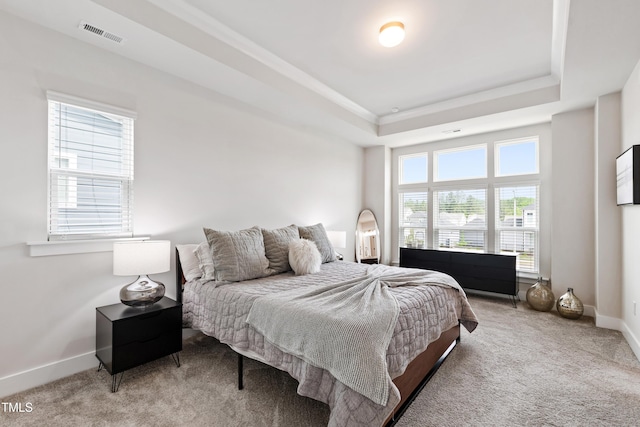 249 Wendover Pkwy, Pittsboro, NC 27312 - bedroom featuring carpet, baseboards, and a raised ceiling