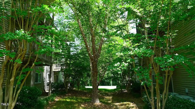 303 Smith Level Rd Unit E33, Chapel Hill, NC 27516 - view of yard