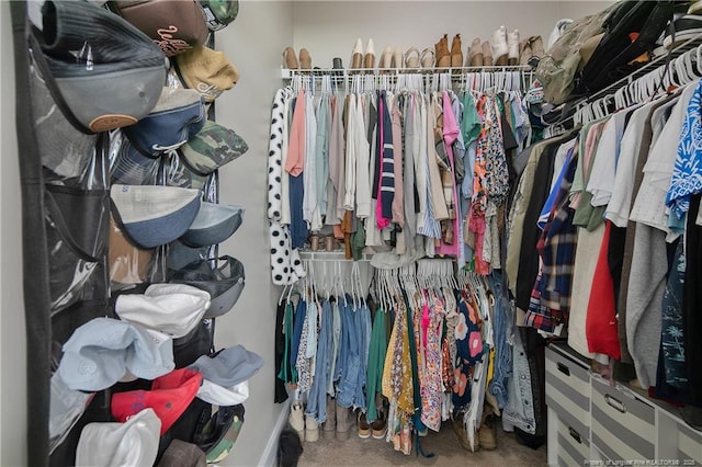 view of walk in closet