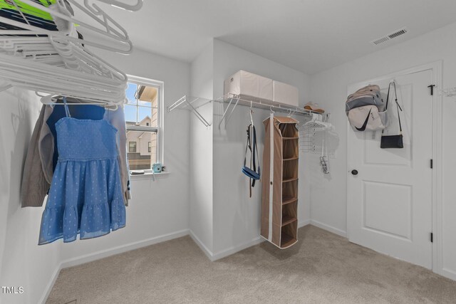 125 Paperwhite Pl, Clayton, NC 27527 - photo 20