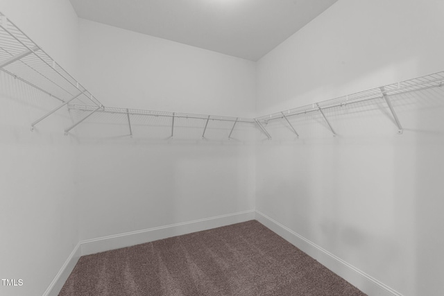80 Bramble Ln, Clayton, NC 27527 - walk in closet with dark carpet