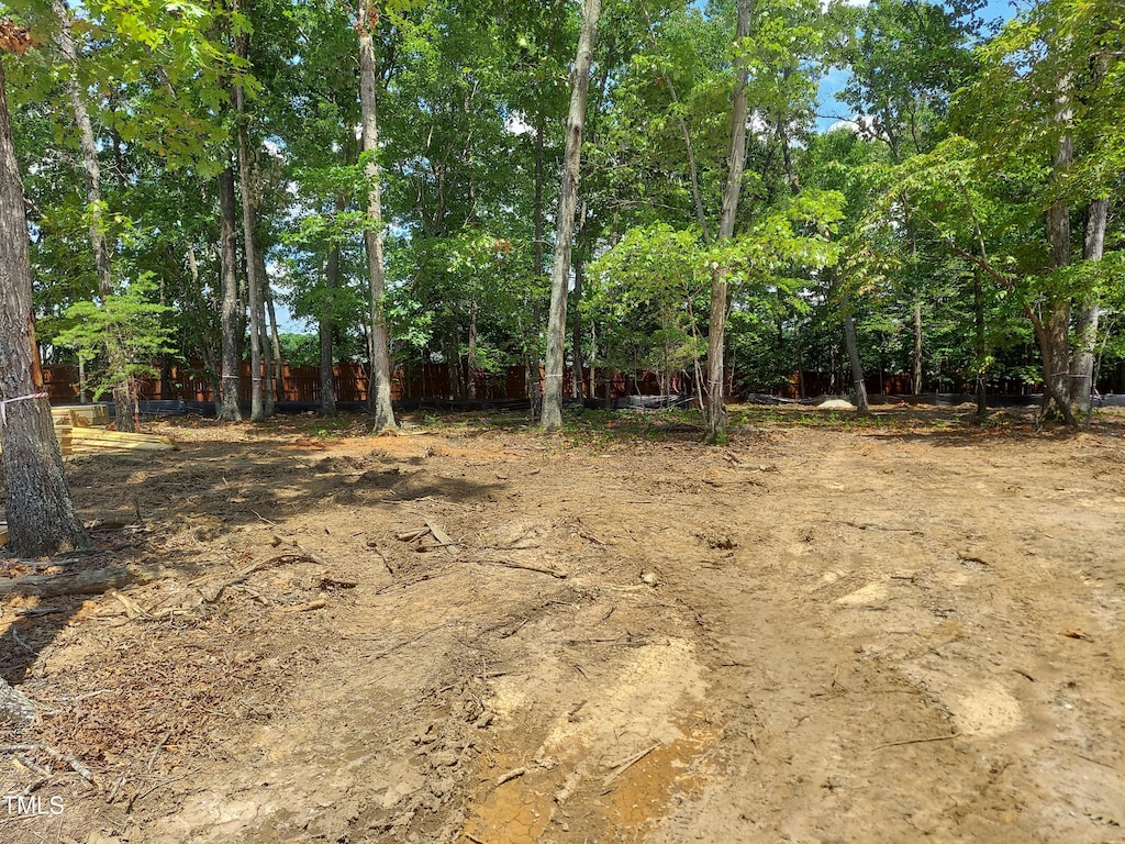 8916 Thompson Mill Rd, Wake Forest, NC 27587 - view of yard