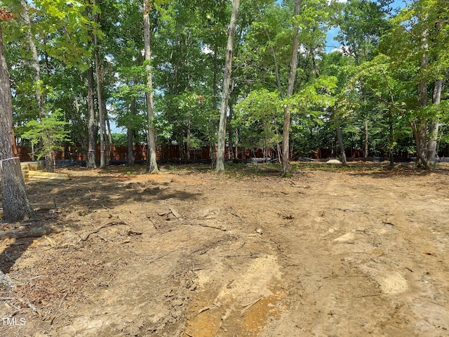 8916 Thompson Mill Rd, Wake Forest, NC 27587 - view of yard